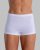 Walking Boxer seamless